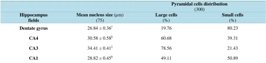 Table 4. Cellular size and distribution through hippocampal fields. In every field of the hippocampus, 75 pyramidal cells (N = 75) are scanned at random to estimate the mean nucleus size by field (values were given as means ± S.E.M.)