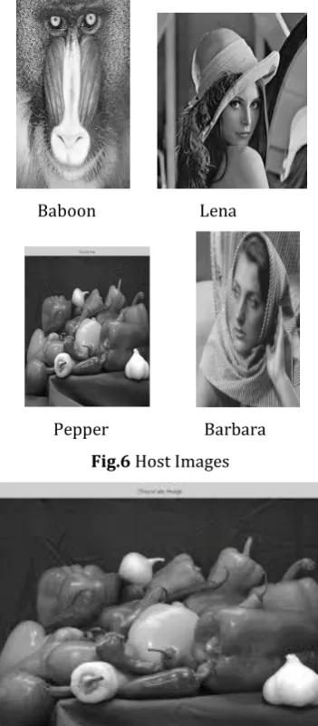 Fig.6 Host Images 