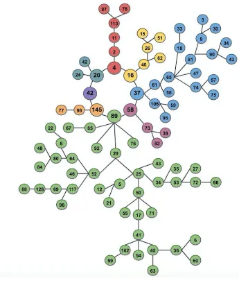 Figure 2: Melancoil 