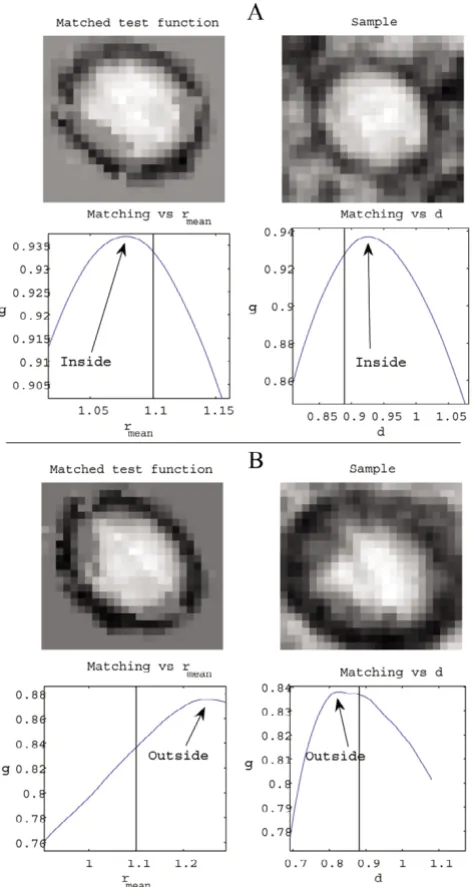 Figure 10Matching with the test function A inside of a vesicleMatching with the test function A inside of a vesicle