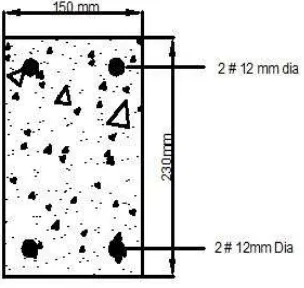 Fig 1: Cross sectional view of the beam weak in Flexure 