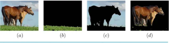 Figure 5. (a) Original natural image; (b)-(d) Ownerships of different phases; (e) Recon-structed image; (f)-(h) Patterns of different phases