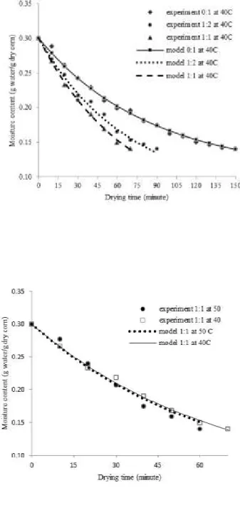 Figure 3.  Drying rate versus moisture in corn at operational temperature  
