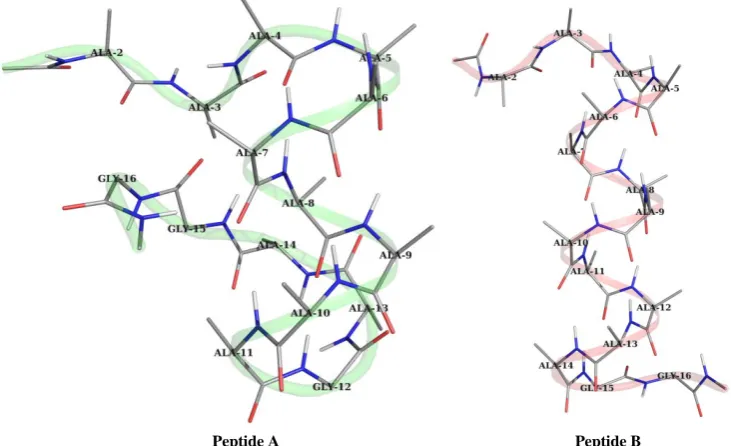 Figure 2. Graphical view of peptides within 3 Å of the peptide surface after 10 ns simulation in water clearly depicts the in-crease in the helical segment with starting geometry with (φ, ψ) values (−57˚, −47˚)
