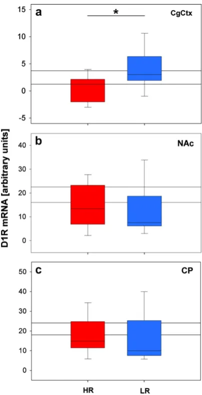Fig. 4. Dopamine receptor 1 (D1R) mRNA levels in the (a) cingulate cortex (CgCtx),(b) nucleus accumbens (NAc), and (c) caudate–putamen (CP) of mice selectivelybred for high (HR) and low (LR) stress reactivity, respectively