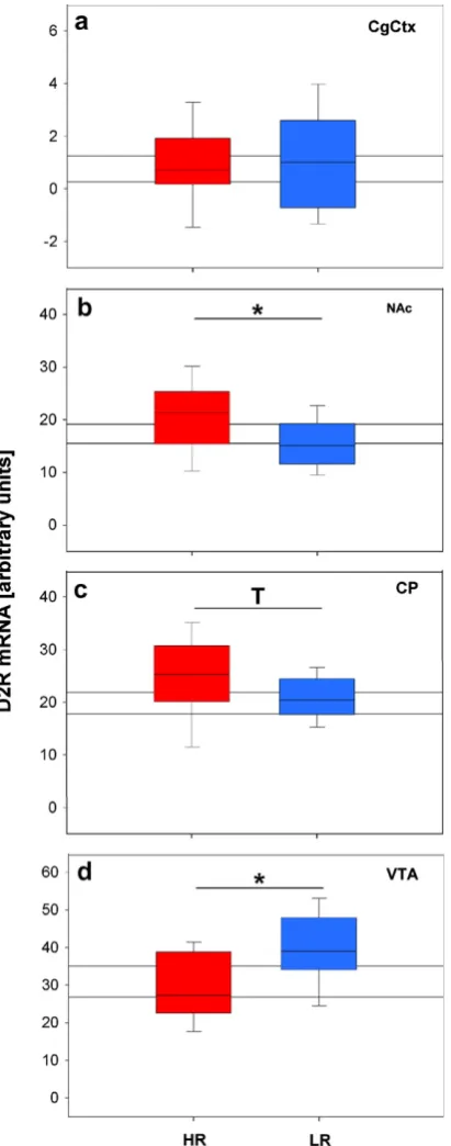 Fig. 5. Dopamine receptor 2 (D2R) mRNA levels in the (a) cingulate cortex (CgCtx),(b) nucleus accumbens (NAc), (c) caudate–putamen (CP), and (d) ventral tegmentalarea (VTA) of high (HR) and low (LR) stress reactive mice