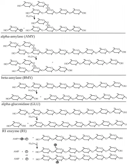 Figure 1.4 Biochemical reaction of starch metabolic enzymes (continued) 
