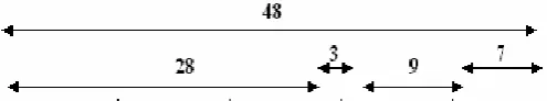 Fig 2: DL/UL Duration (1.00 in ICS Telecom) 