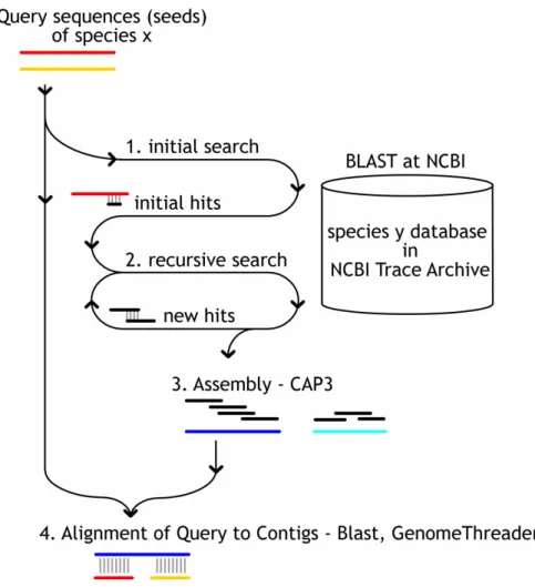 Figure 1. Schematic overview of the Tracembler algorithm. 