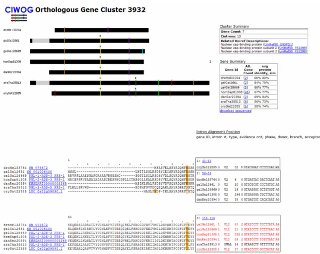 Figure 5.  CIWOG alignment display. 