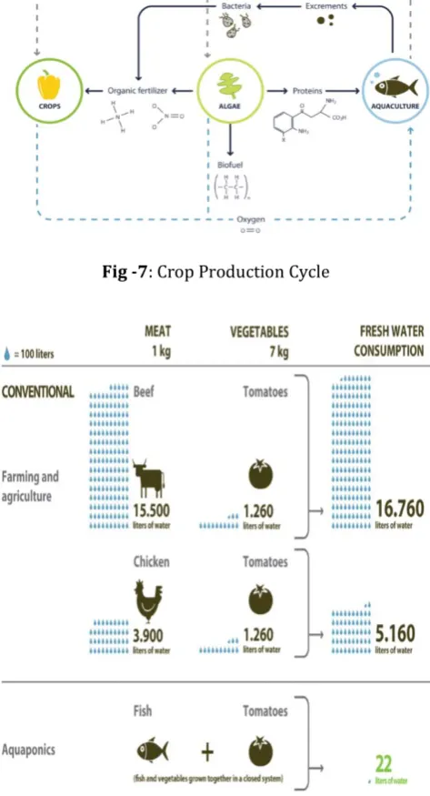 Fig -7: Crop Production Cycle 