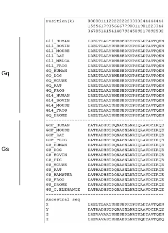 Fig. 5. Type-II functional divergence related amino acid sites candidates and ancestral sequence 