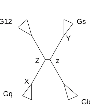 Fig. 6. The ancestral inference points for the G-protein alpha subunit family. 