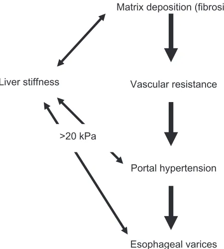 Figure 7 Relation of liver stiffness with clinical fibrosis-related entities such as fibrosis stage, portal hypertension and esophageal bleeding.
