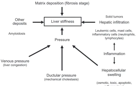 Figure 6 Not only matrix but also pressure-associated conditions influence liver stiffness.
