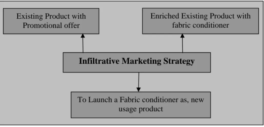 Figure 4: Infiltrative Marketing Strategy 
