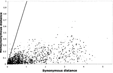 Figure 2. Scatter plot of synonymous distance versus nonsynonymous distance for all 