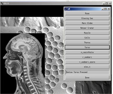 Figure 2.  The Interface and Display from a Collaborative IDL Application 