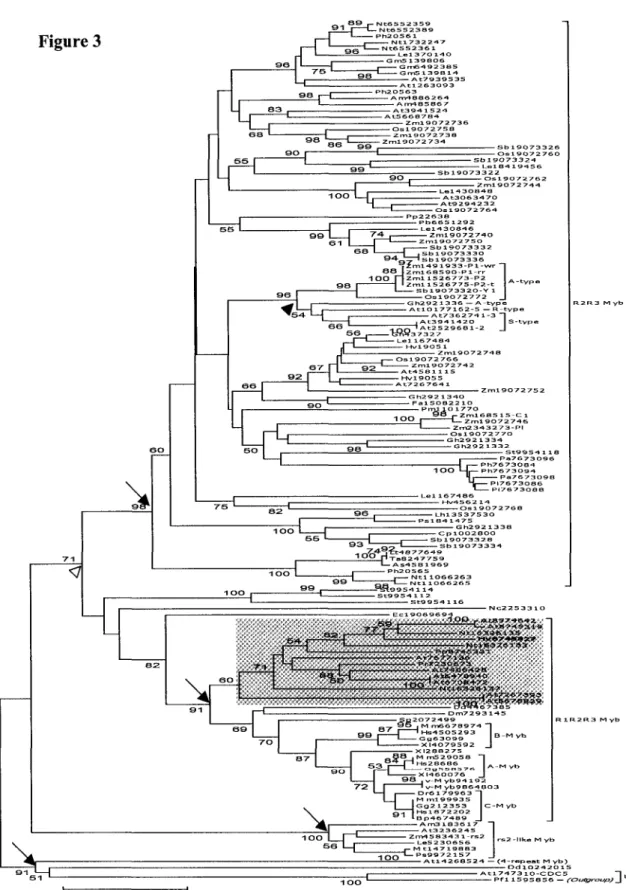 Figure 3  S b l 9 0 7 3 3 3 2   ^  _  S b l 9 0 7 3 3 3 0   9 4 ' — I   S b l 9 0 7 3 3 3 6   7 £ m l 4 9  1 9 3 3  P l  -8 -8 1   Z m l  6 S S 9 0 - P  1   1   O O   n z m l   1 5 2 6 7 7 3 - P 2   Z m l  1 5 2 6 7 7 5  P 2  -S b l 9 0 7 3 3 2 0 - Y   0 s