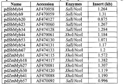 Table 1. Expression constructs of Myb gene promoters from sorghum and maize 