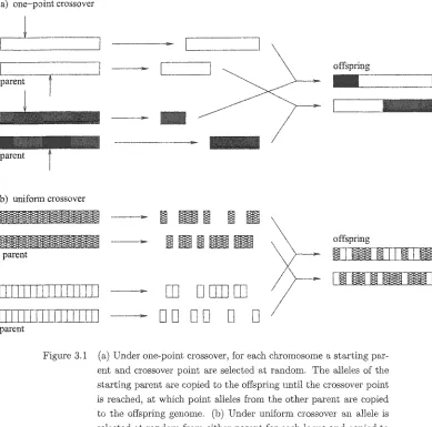 Figure 3.1 (a) Under one-point crossover, for each chromosome a starting par­ent and crossover point are selected at random