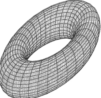 Figure 3.2 Arrangement of the world aa a grid of microhabitata ia a toroidal configuration