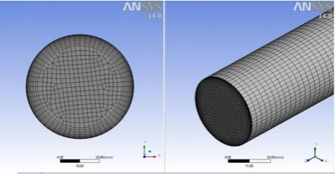 Fig -1: View of mesh used in this study.  