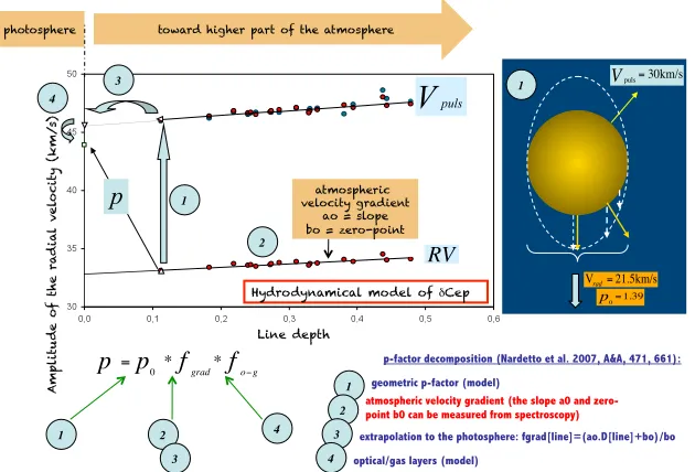 Figure 1.1�di The p-factor decomposition is illustrated based on the hydrodynamical model ofNicolas NARDETTO – «�The Araucaria Project�», Postdam, 2010� δ Cep (see [10])