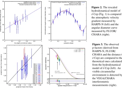Figure 2. The rescaledhydrodynamical model ofδ Cep (Fig. 1) is compared tothe atmospheric velocitygradient measured byHARPS-N (left) and theangular diameter curvemeasured by FLUOR/CHARA (right).