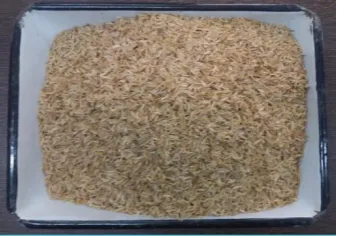 Fig-4 : Rice Husk 