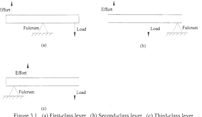 Figure 3 .1. ( a) First-class lever. (b) Second-class lever. ( c) Third-class lever. 