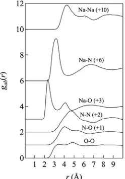 Fig. 1. Partial pair distribution functions gab(r) for molten NaNO3 at 623 K. The inner molecule interactions for N-O and O-O correlations are not shown for clarity