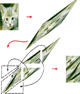 Fig 2.2.1 : Arnold map 