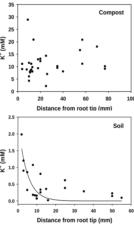 Fig. 4. Distribution of K+-selective microelectrode measurements behind the root tip for barley 