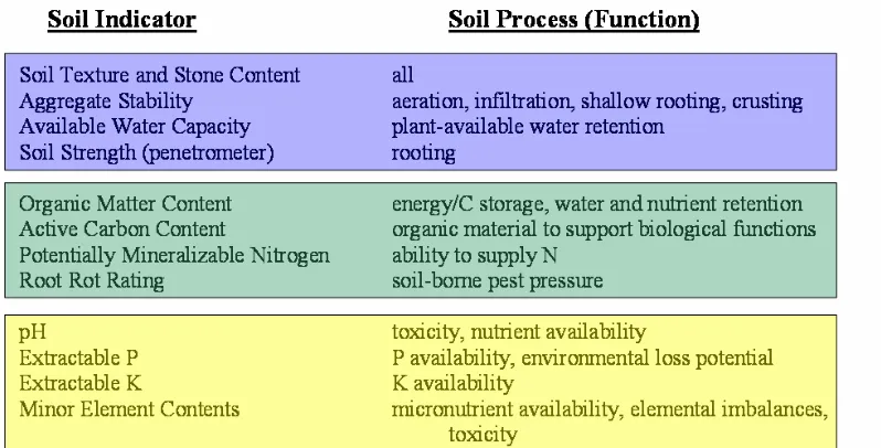 Fig. 4.  Models of scoring curves used for the interpretation of measured values of soil quality 