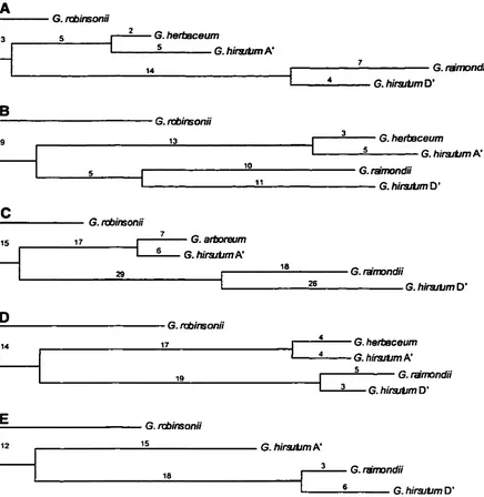 Figure 6A-E. 0.99, are given AdhA, Branch index designated RI: (RI). below; AdhB, lengths Phylogenetic trees resulting firom parsimony analysis of sequences of AdhC, AdhD, and AdhE respectively, and rooted with the G