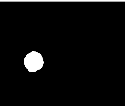 Fig – 6 : Extracted Image 