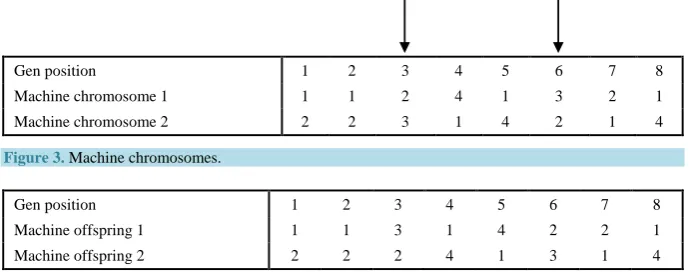 Figure 3. Machine chromosomes. 