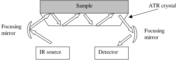 Fig. 1. Schematic description of the attenuated total reflectance (ATR) spectroscopy 