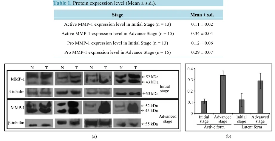 Table 1. Protein expression level (Mean ± s.d.).                            