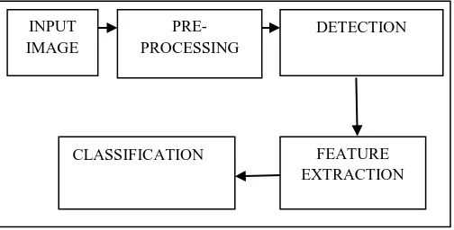 Fig. 1.  Proposed Methodology 