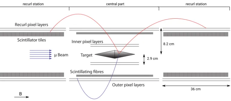 Figure 2: Schematic drawing of the Mu3e detector design.