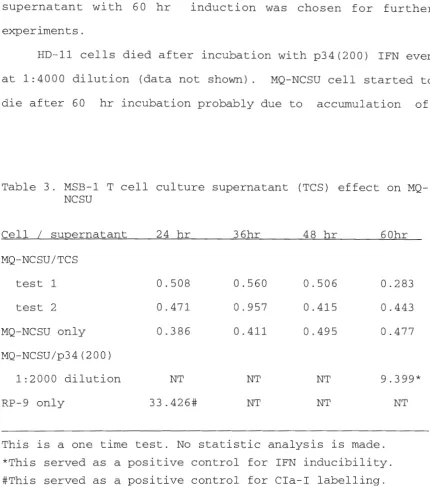 Table 3 . MSB-1 T cell culture supernatant (TCS) effect on MQ-NCSU 