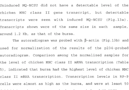 Table 4. Recombinant chicken IFN-induced increase in chicken 