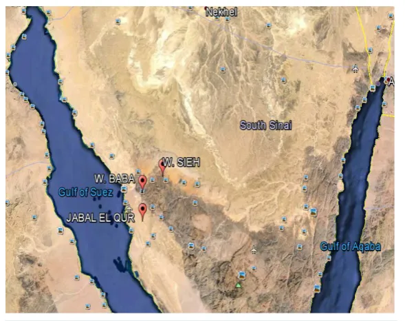 Figure 1. Location map of the collected samples.                         