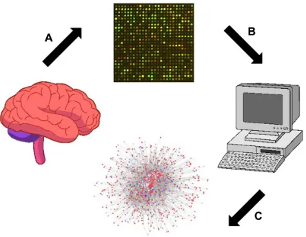Figure 1 Scheme of the brain tissue analysis from AIDS patients with and without apparent features of HIVe-induced dementia using the Affymetrix microarray platform