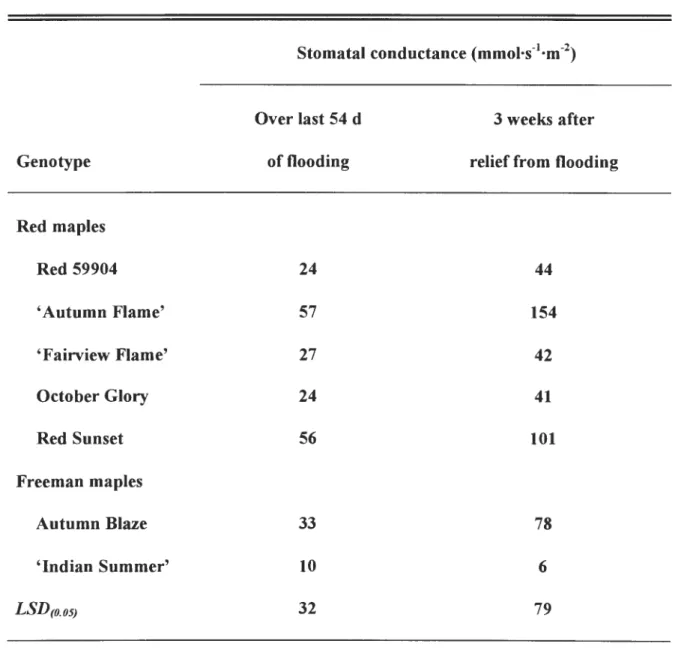 Table 4.  Mean stomatal conductance over the last 54  d of flooding and 3 weeks after  termination of flooding for five  genotypes of red maple and two genotypes of Freeman  maple subjected to 75  d of continuous flooding