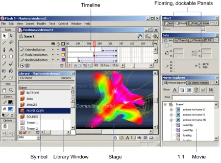 Figure 1  Flash 5 Interface 