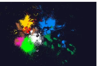 Figure 4.3. Cluster of points and a tree visualized with WebPlotViz