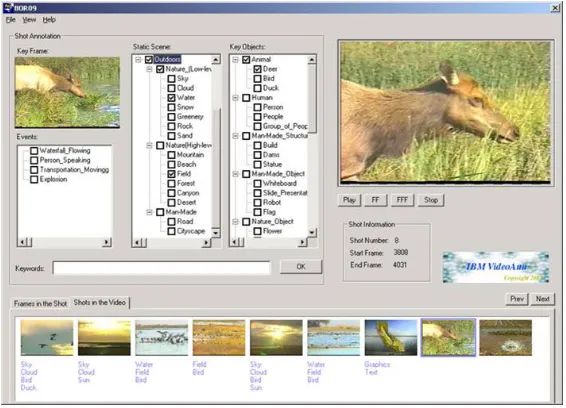 Figure 2.4: IBM VideoAnnEx